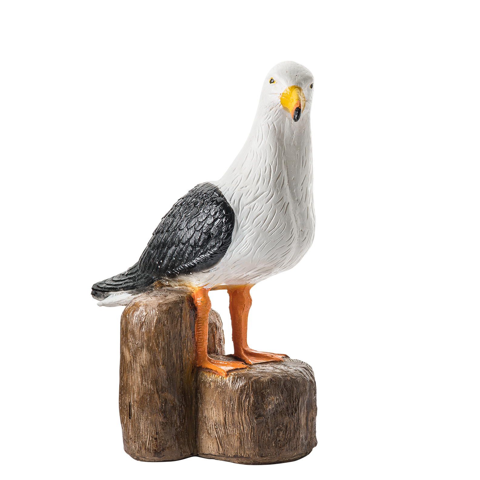 paco